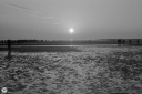 NO240303.jpg