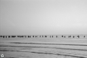 NO240305.jpg