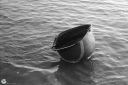 NO240308.jpg