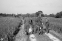 NO240312.jpg