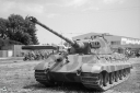 NO240319.jpg