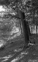 Filename=NT180702.jpg
Filesize=282KiB
Dimensions=500x800
Date added=Aug 13, 2018 NT180702.jpg