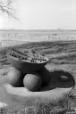 NT250303.jpg