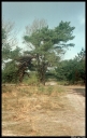 Filename=OA140075.jpg
Filesize=651KiB
Dimensions=520x820
Date added=Mar 05, 2017 OA140075.jpg