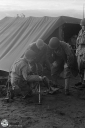 Filename=OP0011L.jpg
Filesize=450KiB
Dimensions=681x1024
Date added=Nov 05, 2023 OP0011L.jpg