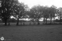 Filename=OP0050.jpg
Filesize=438KiB
Dimensions=1024x681
Date added=Nov 05, 2023 OP0050.jpg