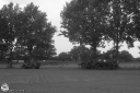 Filename=OP0055.jpg
Filesize=516KiB
Dimensions=1024x681
Date added=Nov 05, 2023 OP0055.jpg