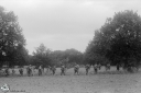 Filename=OP0058L.jpg
Filesize=444KiB
Dimensions=1024x681
Date added=Nov 06, 2023 OP0058L.jpg