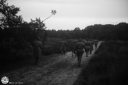 OP0171.jpg
