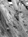 Filename=OP201140.jpg
Filesize=297KiB
Dimensions=600x800
Date added=Nov 25, 2020 OP201140.jpg