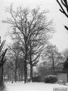 Filename=OP210211.jpg
Filesize=353KiB
Dimensions=600x800
Date added=Feb 14, 2021 OP210211.jpg