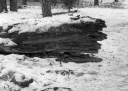 Filename=OP240119.jpg
Filesize=307KiB
Dimensions=800x570
Date added=Jan 29, 2024 OP240119.jpg