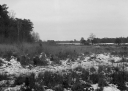 Filename=OP240123.jpg
Filesize=308KiB
Dimensions=800x570
Date added=Jan 29, 2024 OP240123.jpg