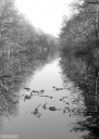 Filename=OP240137.jpg
Filesize=302KiB
Dimensions=570x800
Date added=Jan 29, 2024 OP240137.jpg