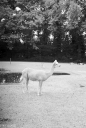 OP250601.jpg