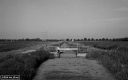 Filename=PE200801.jpg
Filesize=217KiB
Dimensions=800x500
Date added=Aug 16, 2020 PE200801.jpg