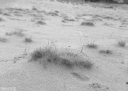 Filename=PEN002.jpg
Filesize=343KiB
Dimensions=800x574
Date added=Nov 27, 2022 PEN002.jpg