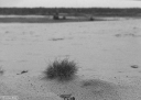 Filename=PEN003.jpg
Filesize=314KiB
Dimensions=800x573
Date added=Nov 27, 2022 PEN003.jpg