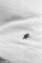 Filename=PR210922.jpg
Filesize=259KiB
Dimensions=532x800
Date added=Sep 05, 2021 PR210922.jpg