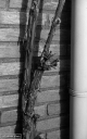 Filename=PT170309.jpg
Filesize=281KiB
Dimensions=500x800
Date added=Mar 18, 2017 PT170309.jpg