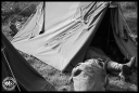 Filename=PU140171.jpg
Filesize=334KiB
Dimensions=820x552
Date added=Mar 05, 2017 PU140171.jpg