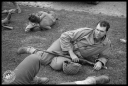 PU140271.jpg