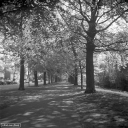 Filename=RF200401.jpg
Filesize=461KiB
Dimensions=800x800
Date added=Apr 27, 2020 RF200401.jpg