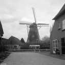 Filename=RO240402.jpg
Filesize=684KiB
Dimensions=1024x1024
Date added=Apr 01, 2024 RO240402.jpg