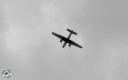 Filename=ROTM0191.jpg
Filesize=217KiB
Dimensions=800x500
Date added=Feb 18, 2019 ROTM0191.jpg