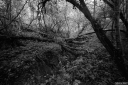 RS260625.jpg