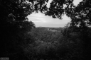 RS260629.jpg