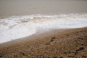 Filename=RT131124.jpg
Filesize=528KiB
Dimensions=800x532
Date added=Jun 05, 2020 RT131124.jpg