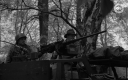 Filename=RTOV0056.jpg
Filesize=360KiB
Dimensions=1024x640
Date added=Jan 29, 2019 RTOV0056.jpg