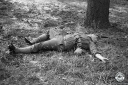 SF190880.jpg