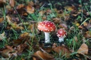 Filename=SH241010.jpg
Filesize=795KiB
Dimensions=1024x681
Date added=Oct 12, 2024 SH241010.jpg