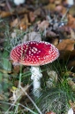 Filename=SH241022.jpg
Filesize=777KiB
Dimensions=681x1024
Date added=Oct 20, 2024 SH241022.jpg