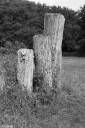SN250708.jpg
