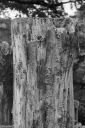 SN250710.jpg