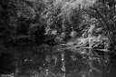 SN250711.jpg