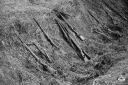 Filename=SO190126.jpg
Filesize=656KiB
Dimensions=1024x681
Date added=Sep 22, 2019 SO190126.jpg