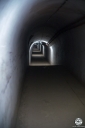 Filename=SO190323.jpg
Filesize=388KiB
Dimensions=681x1024
Date added=Sep 28, 2019 SO190323.jpg