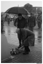 Filename=SOTM0156.jpg
Filesize=212KiB
Dimensions=446x660
Date added=Jan 30, 2019 SOTM0156.jpg