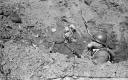 Filename=ST170567.jpg
Filesize=369KiB
Dimensions=800x500
Date added=May 22, 2017 ST170567.jpg