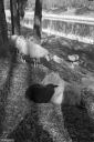 Filename=ST230409.jpg
Filesize=489KiB
Dimensions=681x1024
Date added=Apr 23, 2023 ST230409.jpg