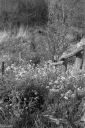 Filename=ST230413.jpg
Filesize=613KiB
Dimensions=681x1024
Date added=Apr 23, 2023 ST230413.jpg