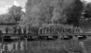 Filename=TI221038.jpg
Filesize=1599KiB
Dimensions=2048x1200
Date added=Oct 14, 2022 TI221038.jpg