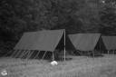 Filename=TIT21033.jpg
Filesize=240KiB
Dimensions=800x532
Date added=Aug 30, 2021 TIT21033.jpg