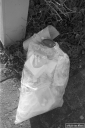 Filename=TR210103.jpg
Filesize=283KiB
Dimensions=532x800
Date added=Jan 24, 2021 TR210103.jpg