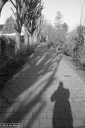 Filename=TR210108.jpg
Filesize=293KiB
Dimensions=532x800
Date added=Jan 24, 2021 TR210108.jpg