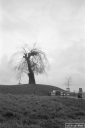 Filename=TR210126.jpg
Filesize=249KiB
Dimensions=532x800
Date added=Jan 24, 2021 TR210126.jpg